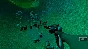 Fish for gold (Steam key/Region free)