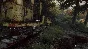 The Vanishing of Ethan Carter. STEAM-ключ (Region Free)