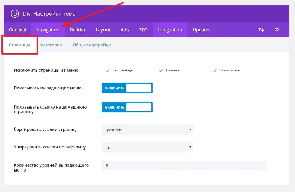 WP theme Divi