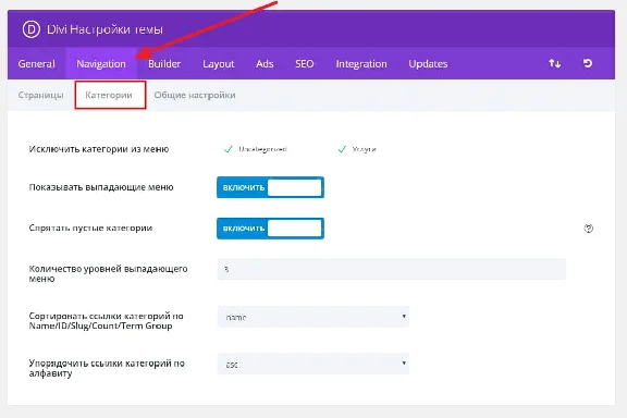 WP theme Divi