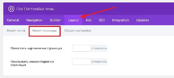 WP theme Divi