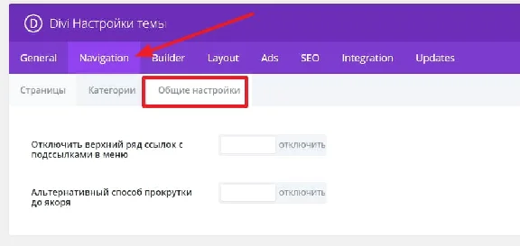 WP theme Divi