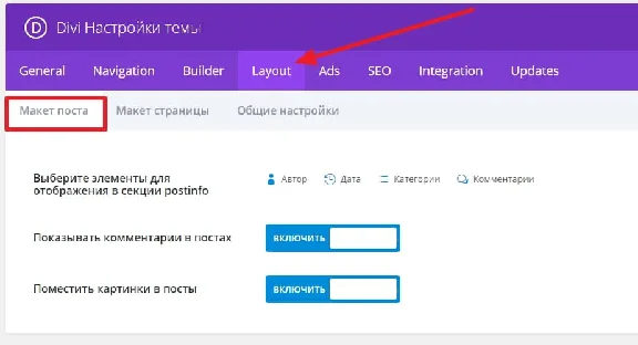WP theme Divi
