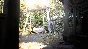 Resident Evil 7 biohazard  Xbox one