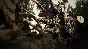 Resident Evil 7 biohazard  Xbox one