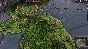 Crusader Kings II: Conclave Content Pack (DLC) STEAM