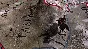 Europa Universalis 4: The Cossacks Content Pack (DLC)