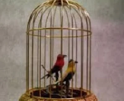 Notre Dame - The birds they put in cages - notes, tabs