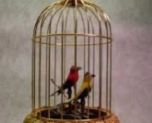 Notre Dame - The birds they put in cages - notes, tabs