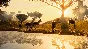 PLANET ZOO DELUXE EDITION STEAM PC + WARRANTY  ✅✅