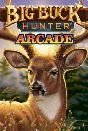 Big Buck Hunter Arcade (Steam key) -- RU
