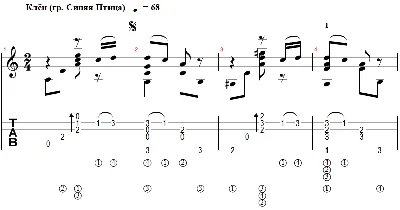Maple (gr. Blue Bird) - arranged for guitar