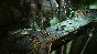 Warhammer: Chaosbane Deluxe STEAM-ключ+ПОДАРОК (RU+СНГ)