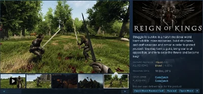 Reign Of Kings (Steam gift GLOBAL)