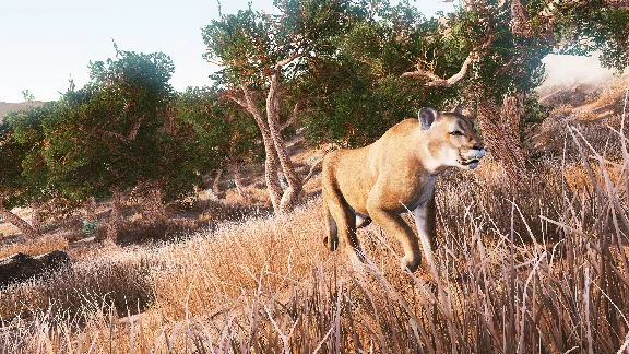 Hunting Simulator. STEAM-key+GIFT (RU+CIS)