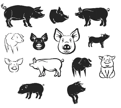 Pig svg,cut files,silhouette clipart,vinyl files,vector