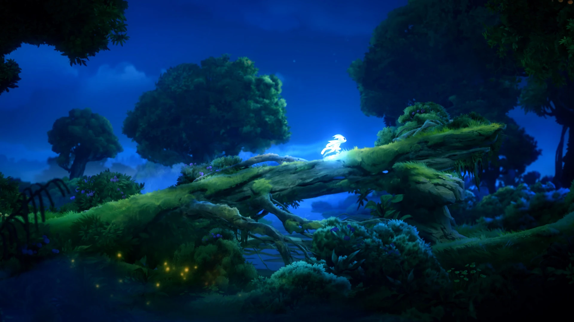 ✅ Ori and the Will of the Wisps XBOX ONE X|S PC KEY 🔑