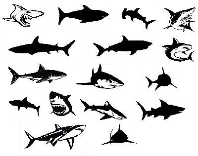 Shark svg,cut files,silhouette clipart,vinyl files,vect