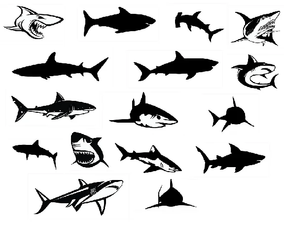 Shark svg,cut files,silhouette clipart,vinyl files,vect