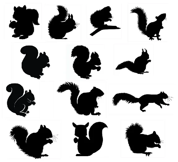 Squirrel svg,cut files,silhouette clipart,vinyl files,v