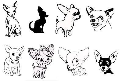 Chihuahua svg,cut files,silhouette clipart,vinyl files,