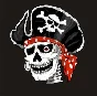 Pirate flag (Jolly Roger) vector