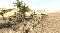 Theatre of War 2: Africa 1943 (Steam) ✅ REGION FREE 🌐
