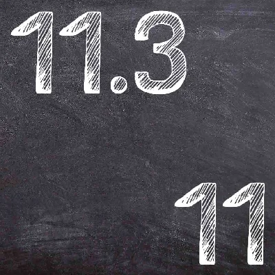 IDZ Ryabushko 11.3 Variant 11