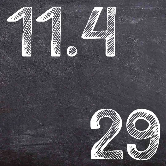 IDZ Ryabushko 11.4 Variant 29