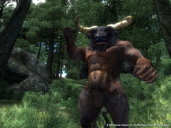 The Elder Scrolls IV: Oblivion GOTY Deluxe (STEAM KEY)