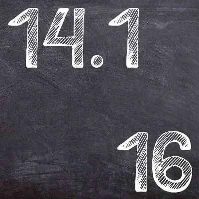 IDZ Ryabushko 14.1 Variant 16