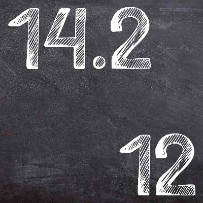 IDZ Ryabushko 14.2 Variant 12