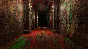 Layers of Fear (Steam) ✅ REGION FREE/GLOBAL + Бонус 🎁