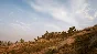 PUBG - Survivor Pass: Shakedown (Steam key) -- RU