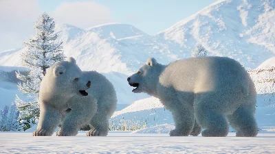 Planet Zoo: Arctic Pack (Steam key) -- RU
