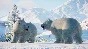 Planet Zoo: Arctic Pack (Steam key) -- RU