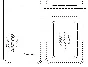 Student cardholder PDF pattern