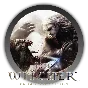 The Witcher: Enhanced Edition DC  - STEAM Gift - (ROW)