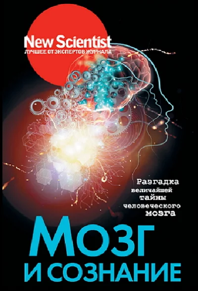 Brain and consciousness
