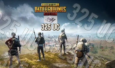 PUBG MOBILE 325 UC  (CD-KEY) Unknown Cash