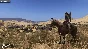 Mount Blade II Bannerlord (steam key)