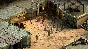 Tyranny Gold Edition (5 in 1)🔑STEAM KEY🌎RUSSIA+GLOBAL