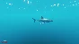 ⛏Stranded Deep - STEAM (Region free)