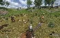 Mount & Blade: Warband ( Steam Key/ Region Free )