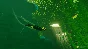 ABZU XBOX ONE game code