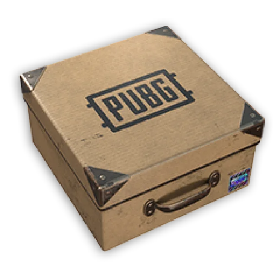 PUBG BADLANDS LEISURE SET (легальный код) Все страны