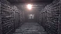 Those Who Remain. STEAM-ключ+ПОДАРОК (RU)