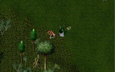 Ultima online - Олмер онлайн "Treasure hunter pack"