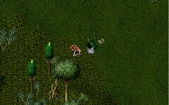Ultima online - Олмер онлайн "Treasure hunter pack"