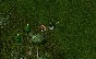 Ultima online - Олмер онлайн "Treasure hunter pack"